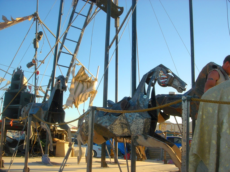 6th Day - Playa Scape 78